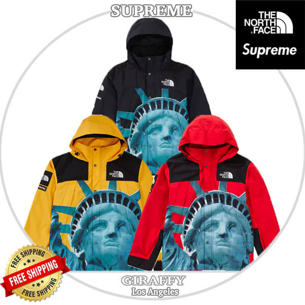 シュプリーム/ノースフェイスコピー Statue Of Liberty Mountain JacketND955