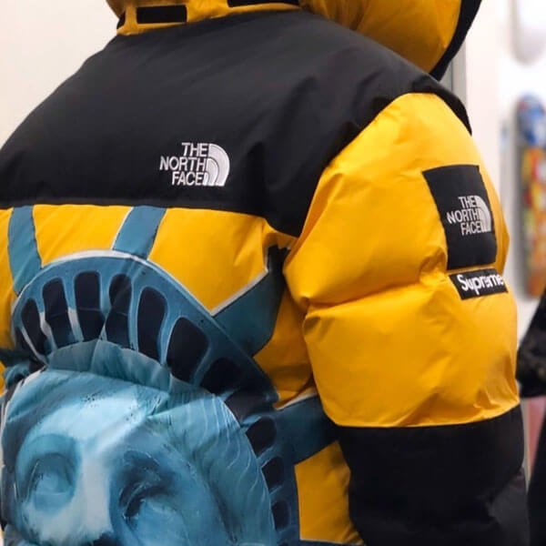 シュプリーム/ノースフェイスコピー Statue Of Liberty Mountain JacketND955