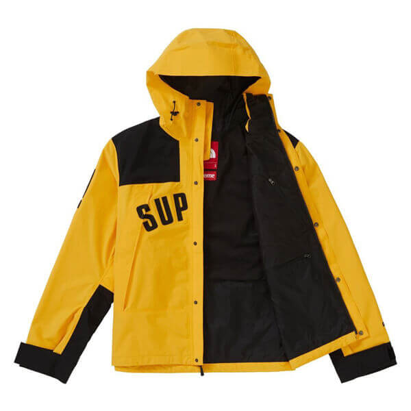 シュプリーム/ザ ノース フェイススーパーコピー アーク ロゴ マウンテン パーカ ノースフェイス X シュプリーム Arc Logo Mountain Parka SS19 WEEK 5