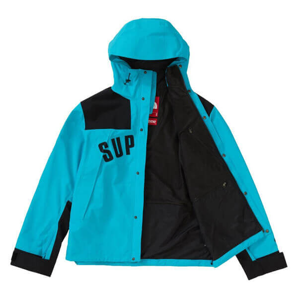 シュプリーム/ザ ノース フェイススーパーコピー アーク ロゴ マウンテン パーカ ノースフェイス X シュプリーム Arc Logo Mountain Parka SS19 WEEK 5