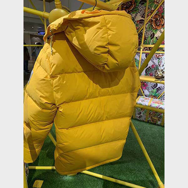 ノースフェイス × グッチ DOWN JACKET ダウンコート2色