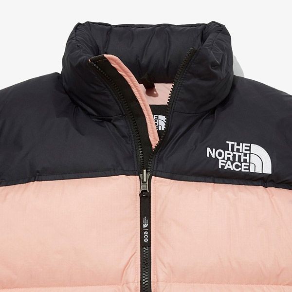 ザノースフェイス 1996 ECO NUPTSE DOWN ダウンジャケット偽物 NJ1DM83A