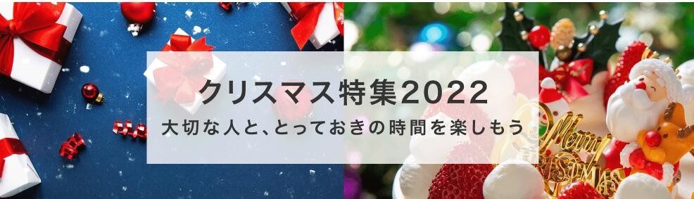 クリスマス 2022 プレゼント【eecopy.ru】