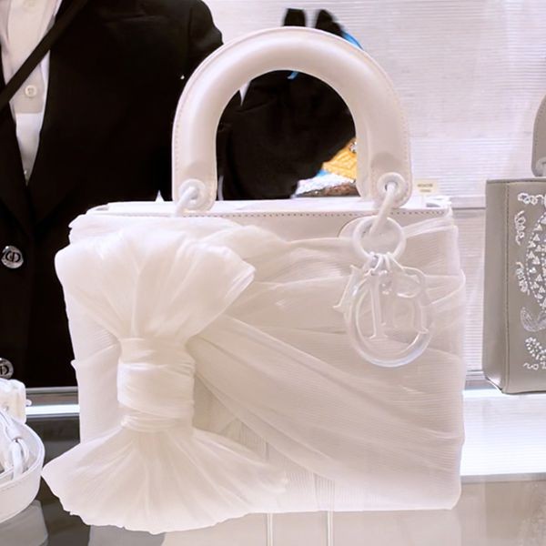 目を惹くカラーレディ ディオール Artサテン偽物＆オプティックファイバーベール Bag Small M993