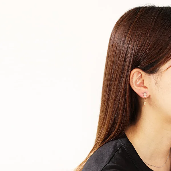 数量限定版セリーヌ ピアス コピー Triomphe Indie Earrings 3点セット 460RK6GPT
