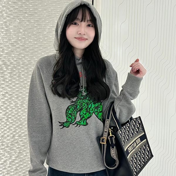 完売必至のカラーディオール ドラゴン スウェット 刺繍入りパーカー コピー 413S03A4112_X8860