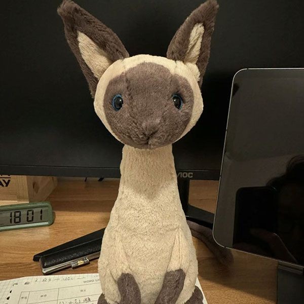 jellycat かわいいぬいぐるみ シャム猫 w24043027