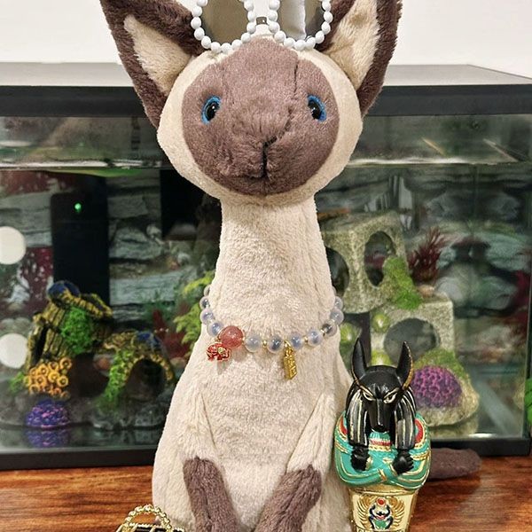 jellycat かわいいぬいぐるみ シャム猫 w24043027
